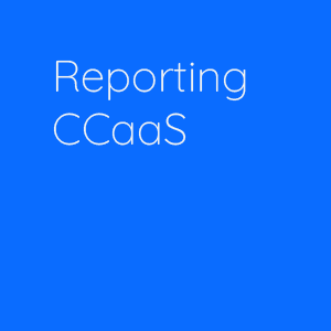 CCAAS REPORTING